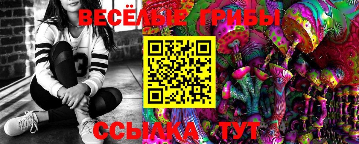 Ангарск  Псилоцибиновые грибы Cubensis  Галлюциногенные грибы Psilocybine cubensis  Вход с VPN 