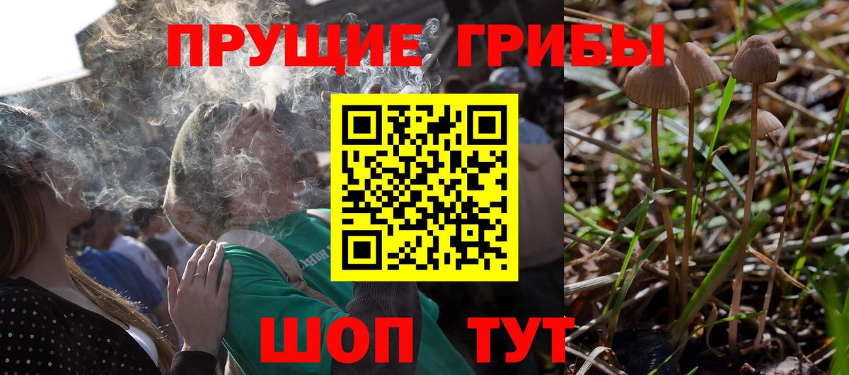 Псилоцибиновые грибы GOLDEN TEACHER Ангарск
